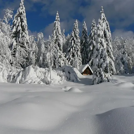 Hiska Henrik Zalokar Apartamento Bohinj