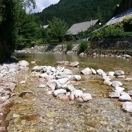 Hiska Henrik Zalokar * Bohinj