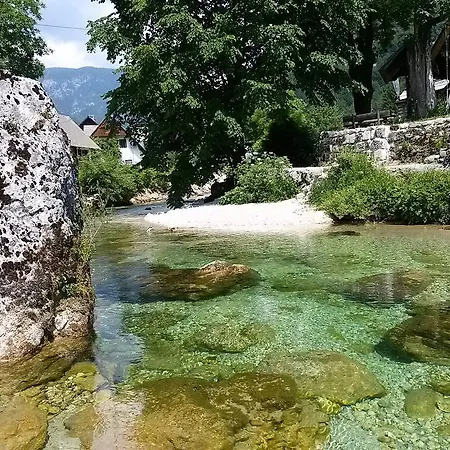 Hiska Henrik Zalokar * Bohinji-tó