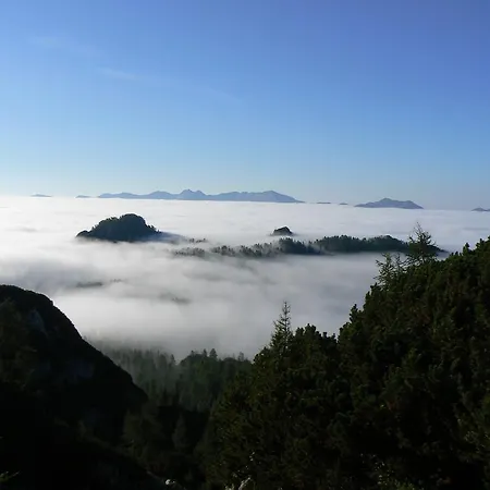 Hiska Henrik Zalokar Διαμέρισμα *