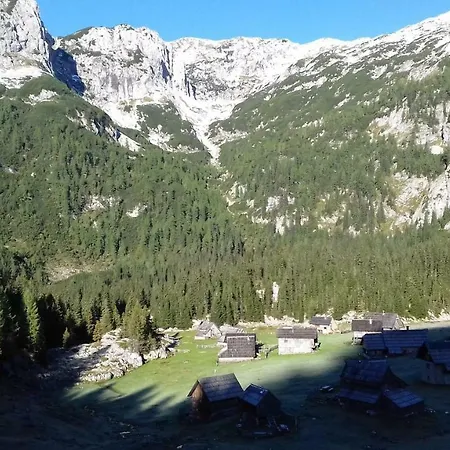 Hiska Henrik Zalokar דירה *