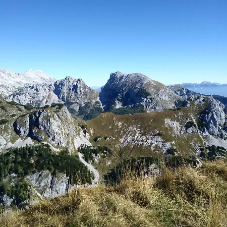 Hiska Henrik Zalokar Bohinj
