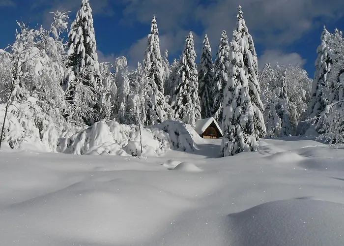 Hiska Henrik Zalokar Appartamento Bohinj