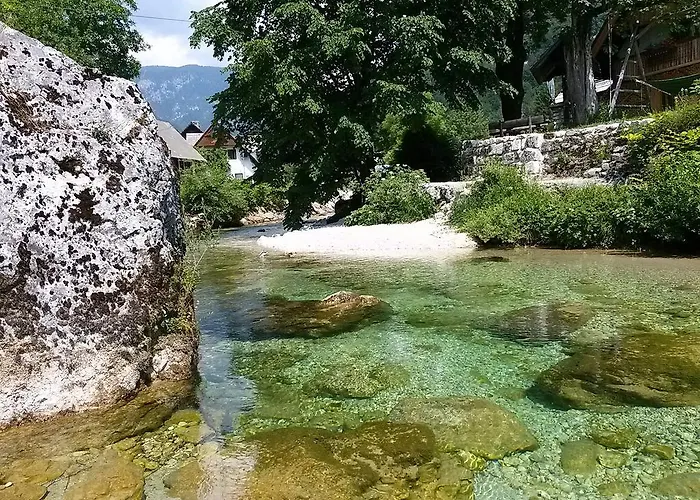 Hiska Henrik Zalokar * Bohinj