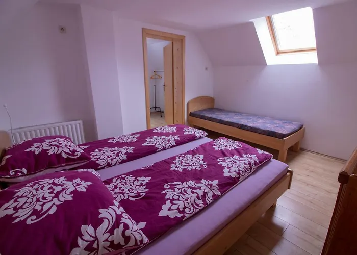 Hiska Henrik Zalokar * Bohinji-tó