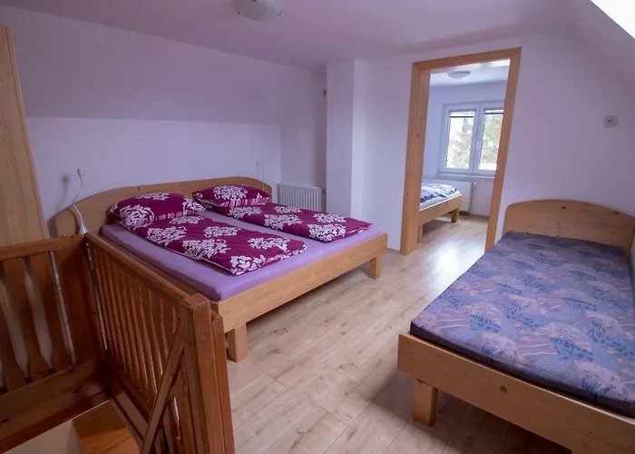 Hiska Henrik Zalokar * Bohinji-tó